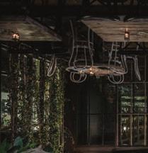 Feedέλ Urban Gastronomy Ηidden in the dense urban fabric of Athens, Feedel resembles an oasis of fresh air in a fabulous garden.