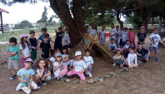 καλύβα και φωλιές για μικρά πουλιά.