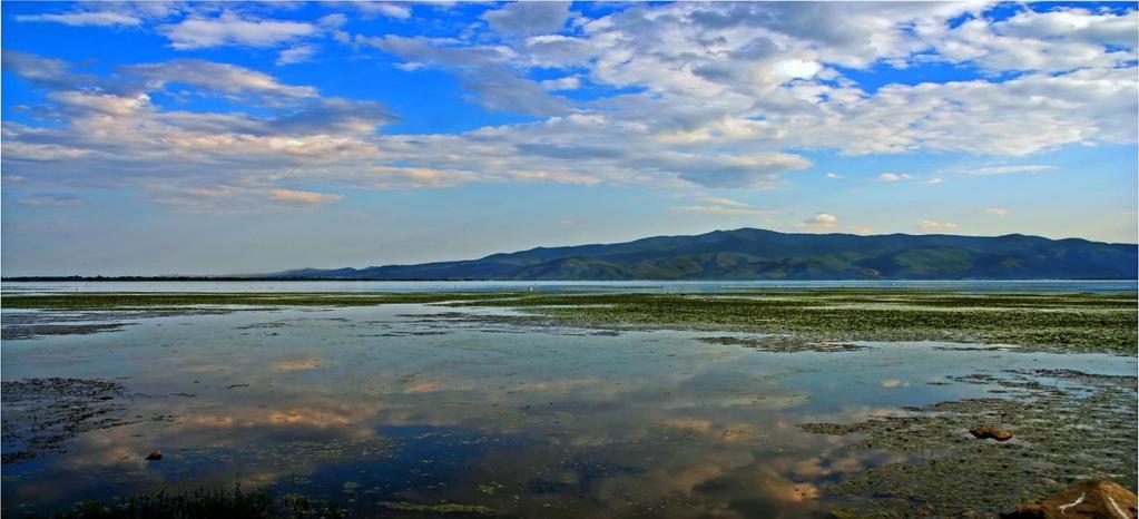 Τγροβιότοποσ (κατά τθν Βιολογία), ι αλλιϊσ υγρότοποσ (κατά τθν Εδαφολογία) ονομάηεται κάκε τόποσ που καλφπτεται μόνιμα ι εποχικά από ρθχά νερά ι που δεν καλφπτεται ποτζ από νερά αλλά ζχει υγρό