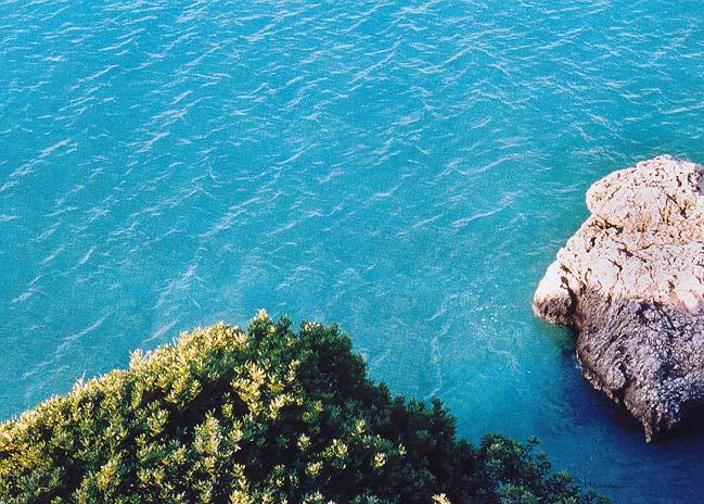 ΟΙ ΚΑΤΑΣΤΑΣΕΙΣ ΑΕΙΦΟΡΟΥ ΑΝΑΠΤΥΞΗΣ ΣΤΟΝ ΤΟΥΡΙΣΜΟ ΣΥΝΔΕΟΝΤΑΙ ΜΕ ΜΟΡΦΕΣ ΤΟΥΡΙΣΜΟΥ ΠΟΥ ΣΤΗΡΙΖΟΥΝ ΤΗΝ ΟΙΚΟΛΟΓΙΚΗ ΙΣΟΡΡΟΠΙΑ ΕΝΟΣ ΤΟΠΟΥ Επιβάλλεται μια πολιτική βιώσιμης τουριστικής ανάπτυξης, που να