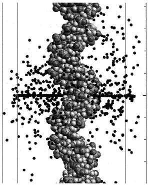 -,,, 15 15 β01γ.. 1. 12 4+ (γ,γ /),.. [2].,,,,,.,,.. G(+)-C.,., G(+)-C (. β).. β 10-11.,.,,. [3] [4], 1.
