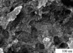 174. 3. Du Y., Luo X.L, Xu J, Chen Y.H // Bioelectrochem. 2007. V. 70. P. 342. 4. Sieben J.M.