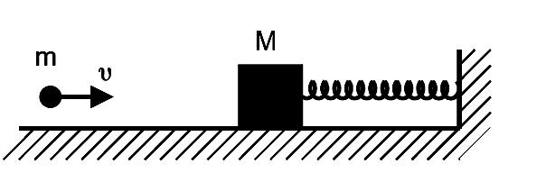 Δύνεται ότι η επιτϊχυνςη τησ βαρύτητασ εύναι g = 0 m/s 8. ώμα, μϊζασ m = kg, εύναι δεμϋνο ςτο ϊκρο οριζόντιου ιδανικού ελατηρύου ςταθερϊσ k = 00 N/m.