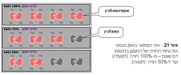 ההמוגלובין קושר ומשחרר חמצן בסביבות שונות כפונקציה של תנאים )חומציות, ריכוזים וכדומה(.
