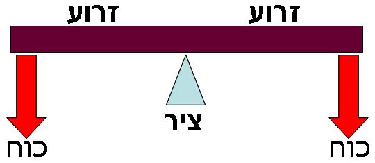 תנועה סביב ציר מתרחשת כאשר כוח מופעל על זרוע כלשהי המקובעת בציר, וגורם לתנועת הזרוע סביב הציר.