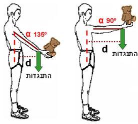 ז. הגורמים המשפיעים על מומנט ההתנגדות עליה פועל השריר בסעיף זה נעסוק במומנט ההתנגדות הנוצר על ידי היד, שהינו מכפלה של אורך זרוע ההתנגדות )הנוצרת על ידי היד הנעה( בכוח האפקטיבי של ההתנגדות. ז. 1.