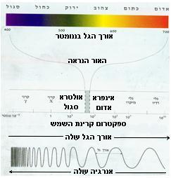 המושג קריאטין פוספט Creatine ( -.