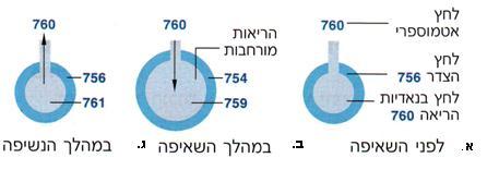 גדל הלחץ על הריאות, נפחן קטן וגורם לגדילת לחץ האוויר בהן, וכתוצאה מכך יוצא אוויר מהריאות אל האטמוספרה )ראו איור 10(. איור - 10 קרומי האדר והסרעפת בעת שאיפה ונשיפה מתוך תמיר, 2005, עמ' 53.