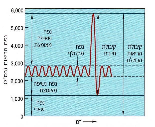 כדאי לשים לב לכך שהריאות לעולם אינן מתרוקנות לחלוטין, וגם בתום הנשיפה המאומצת ביותר לא יוצא כל האוויר מנאדיות הריאה )וטוב שכך!(.