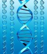 Sperm DNA Integrity Testing Background Sperm DNA Damage Principle Specimen Normal sperm