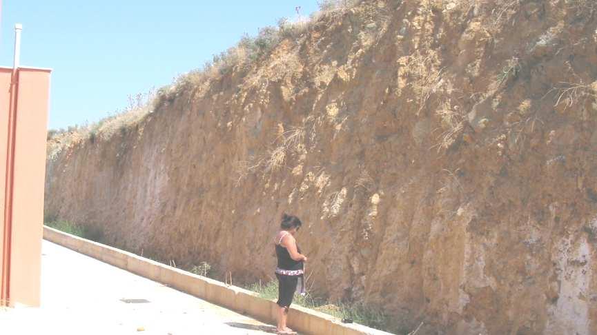 Το ρήγµα 4 είναι συνοδό του ενεργού ρήγµατος, έχει ίδια διεύθυνση ανάπτυξης και βύθισης και βάζει σε επαφή τα ηµιµεταµορφωµένα πετρώµατα µε τα νεογενή (βλ. εικ.1) και το τεταρτογενές κάλυµµα.