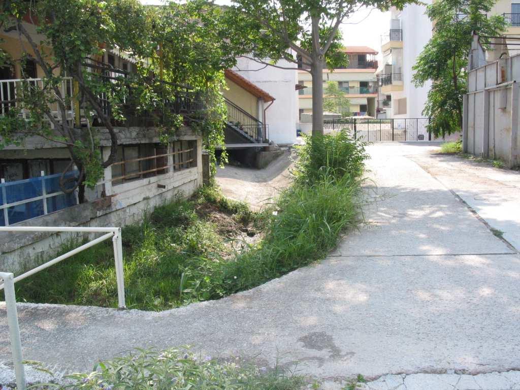 Ανθόκηπων απ όπου διέρχεται το Ρ. Ευκαρπίας.