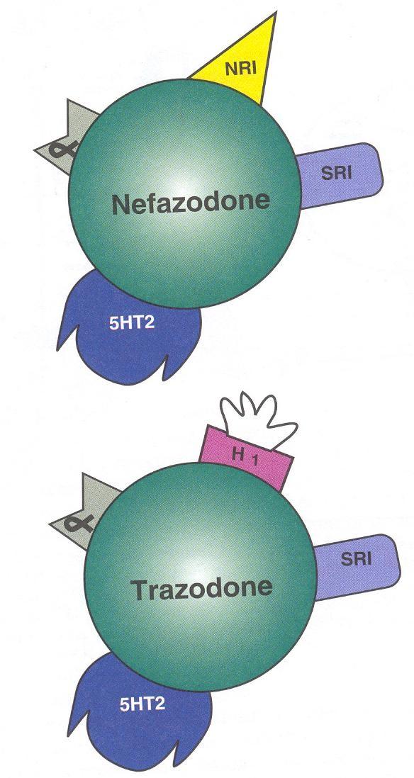 SARIs ΝΕΦΑΖΟΔΟΝΗ 100-600 mg/d ΤΡΑΖΟΔΟΝΗ 50-600 mg/d