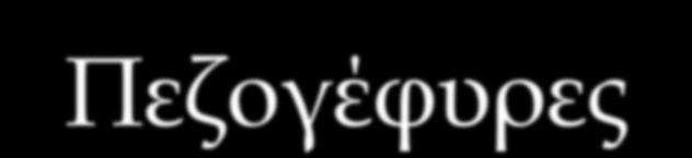 χρήση τους o