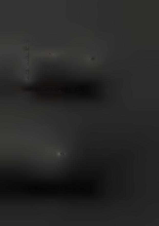 Εικόνα 34. Λήκυθι από τν τάφ την Αργυρύπλη.