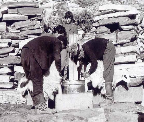 του
