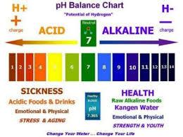 σώματος. Ένα PH 7 θεωρείται ουδέτερο, κάτω από 6,9 όξινο και πάνω απο 7,1 αλκαλικό.