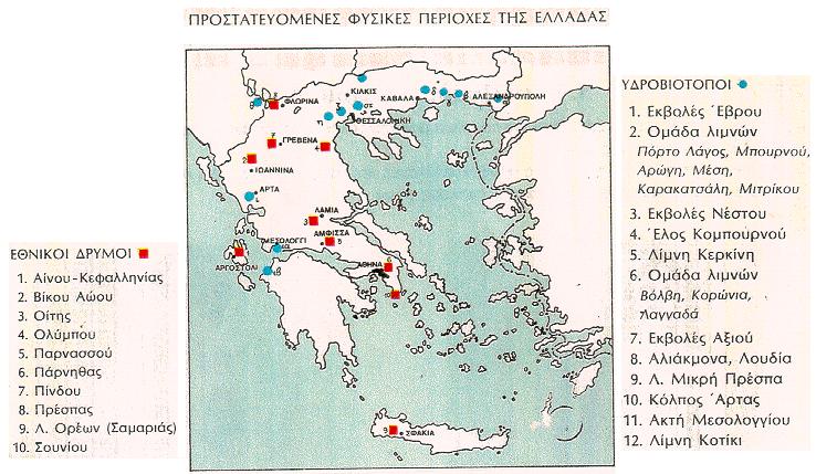 2 ος μήνας Οι μαθητές εντόπισαν στον χάρτη της Ελλάδας, τα μέρη στα οποία βρίσκονται υδροβιότοποι και είδαν σε video τον υδροβιόποτο στο Δέλτα του Έβρου, του