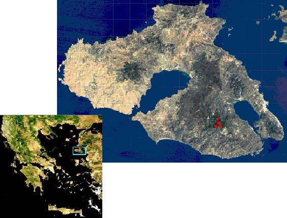 Από γεωλογική άποψη η περιοχή αποτελείται από παλαιοζωικούς σχιστόλιθους, τεταρτογενείς φυλλίτες, ψαμμίτες, ηφαιστειακούς-προσχωματικούς και ημιμεταμορφωμένους σχηματισμούς (Drouzas & Aravanopoulos