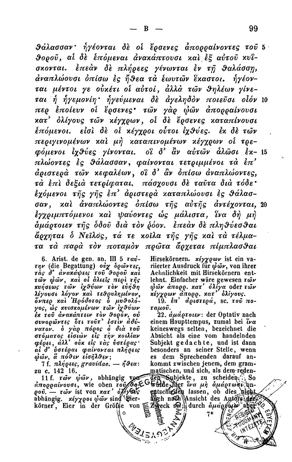 Β.99 θάλασσαν * ήγέονται δε οι έρσενες άπορραίνοντες τον θοροϋ, αϊ δε επόμενοι άναχάπτουσι και εξ αυτού κυΐσκονται.