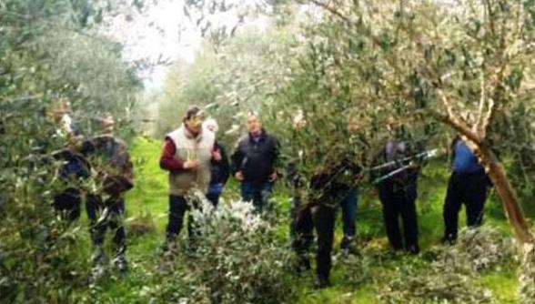 εφαρμοζόμενες τεχνικές καλλιέργειας, συνεργάστηκε για 2η χρονιά με επιστημονικό σύμβουλο ο οποίος υλοποίησε πρόγραμμα κατάρτισης των παραγωγών-μελών της ΟΕΦ.