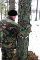 foto 6 MÕÕDETUD PUUDE TÄHISTAMINE Mõõdetud puud tuleb tähistada märkevärviga, vältimaks mõõdetud ja mõõtmata puude segiminekut (fotod 6 ja 7).
