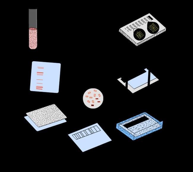 Southern blot Southern blot (DNK) za