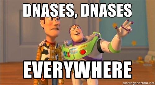 Stvaranje optimalnih uslova za izolovanje NK Priprema radne okoline pred izolaciju NK smanjiti rizik od dejstva nukleaza (DNases, RNases)!