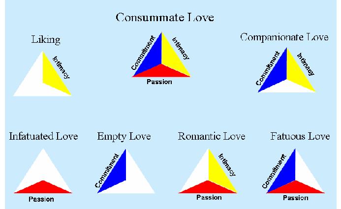 Για παράδειγμα: top-down κατηγοριοποίηση Τριγωνική θεωρία του Sternberg περί έρωτα αποτελείται από τρία στοιχεία: 1.