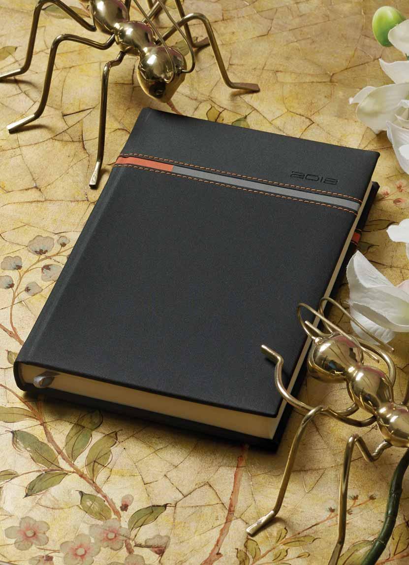 Flexbook με λάστιχο, pen loop & χάρτινη τσέπη Θήκη από πυρογραφικό υλικό με εύκαμπτη βιβλιοδεσία 20.00013 13,8χ20,4cm 20.