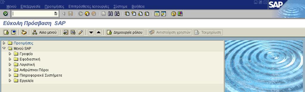 παθέηα εθαξκνγψλ (applications), πνπ θαιχπηνπλ φιεο ηηο ιεηηνπξγίεο κίαο επηρείξεζεο θαη δηαζέηνπλ ηελ απαξαίηεηε επιπγηζία γηα ηε δπλακηθή πξνζαξκνγή ηνπο ζηηο απαηηήζεηο θαη ηηο κεηαβνιέο πνπ
