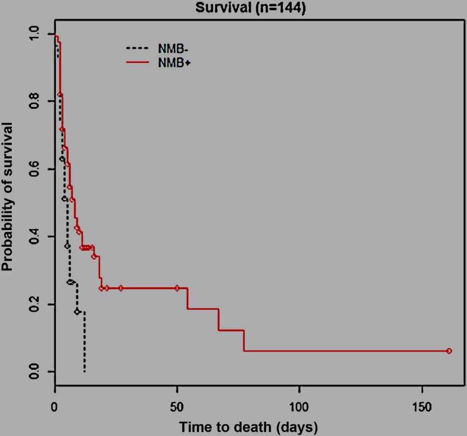 Neuromuscular blockade during therapeutic hypothermia after cardiac arrest: Observational study of neurological and infectious outcomes