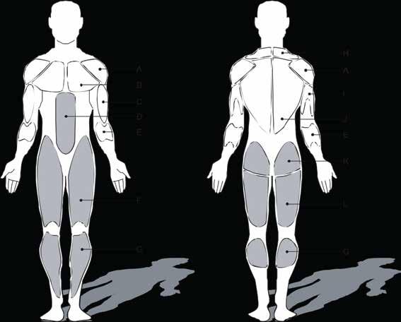 13. Κατανομή μυών Οι χαμηλότεροι μύες του σώματος χρησιμοποιούνται κυρίως όταν χησιμοποιείται ο διάδρομος όπως υποδεικύονται με γκρι όπως παρακάτω.
