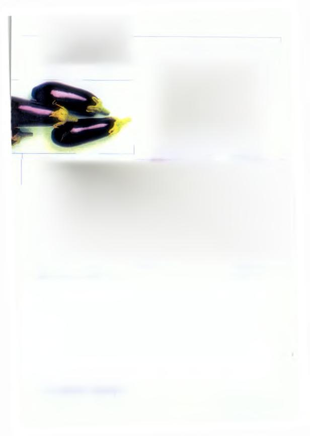 N o 2 9