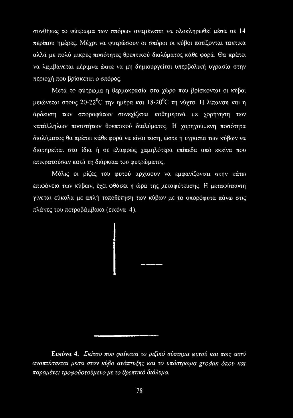 Θα πρέπει να λαμβάνεται μέριμνα ώστε να μη δημιουργείται υπερβολική υγρασία στην περιοχή που βρίσκεται ο σπόρος.