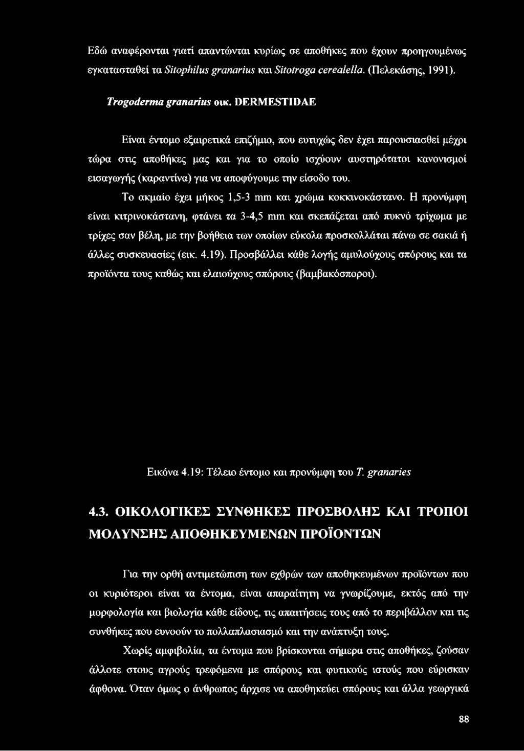 Εδώ αναφέρονται γιατί απαντώνται κυρίως σε αποθήκες που έχουν προηγουμένως εγκατασταθεί τα 5/ΥορΜΙιις grαηανΐιις και Sitotroga οβγβαιβιια. (Πελεκάσης, 1991). Trogoderm a granarius οικ.
