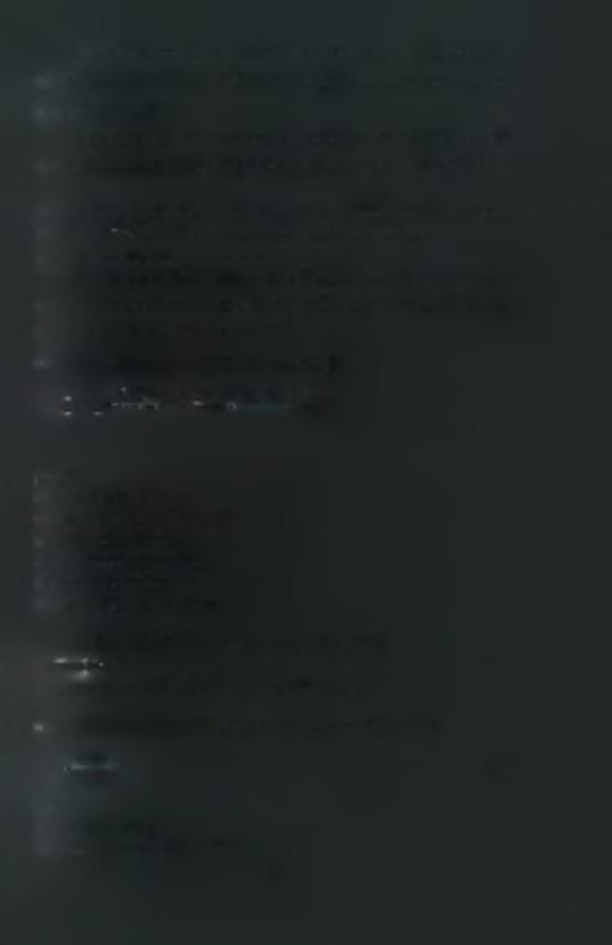 Οι βλαστοί και τα φύλλα τοποθετήθηκαν σε ειδικές χάρτινες σακούλες και αφήνονταν στο θερμοκήπιο προκειμένου να γίνει η ξήρανσή τους και να υπολογιστεί η ξηρή βιομάζα τους.
