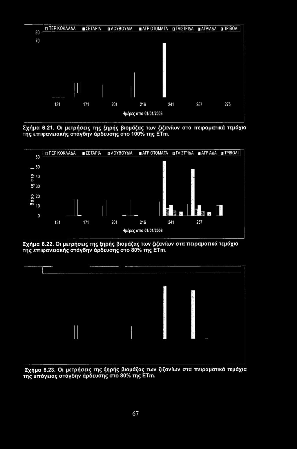 20 Ό 10 0 131 171 201 216 241 Ημέρες αττο 01/01/2006 ill n _ I] a ΤΙ 257 Σχήμα 6.22.