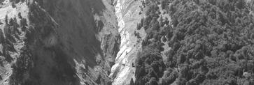Γκρόπα (Στουρναραίικα). PHOTOGRAPH 2.