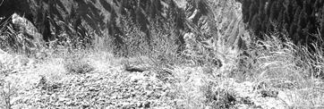 PHOTOGRAPH 2.2.1-2: Conjugate faults at Theopetra rock.