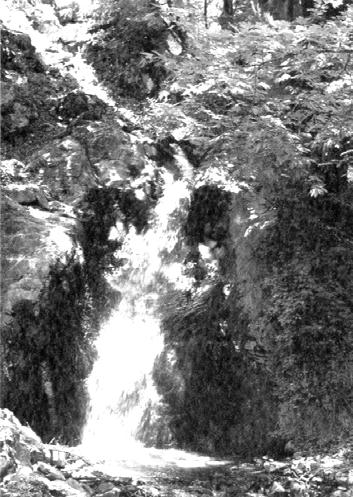 ΦΩΤΟΓΡΑΦΙΕΣ 5.2.1 11 & 12: Μικροί καταρράκτες στην Αγία Παρασκευή Καλαμπάκας και στην Ελάτη.