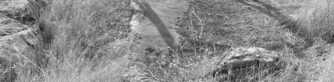 PHOTOGRAPH 5.
