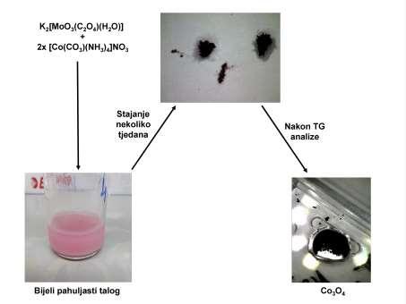 4. REZULTATI I RASPRAVA Slika 19. Shematski prikaz priprave i identifikacije kompleksa [Co2μ-(OH)2(NH3)4(C2O4)2] 3H2O.