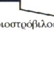 εξαρτώµενες σε µεγάλο βαθµό από τη ποιότητα του αερίου και από τη µηχανή.