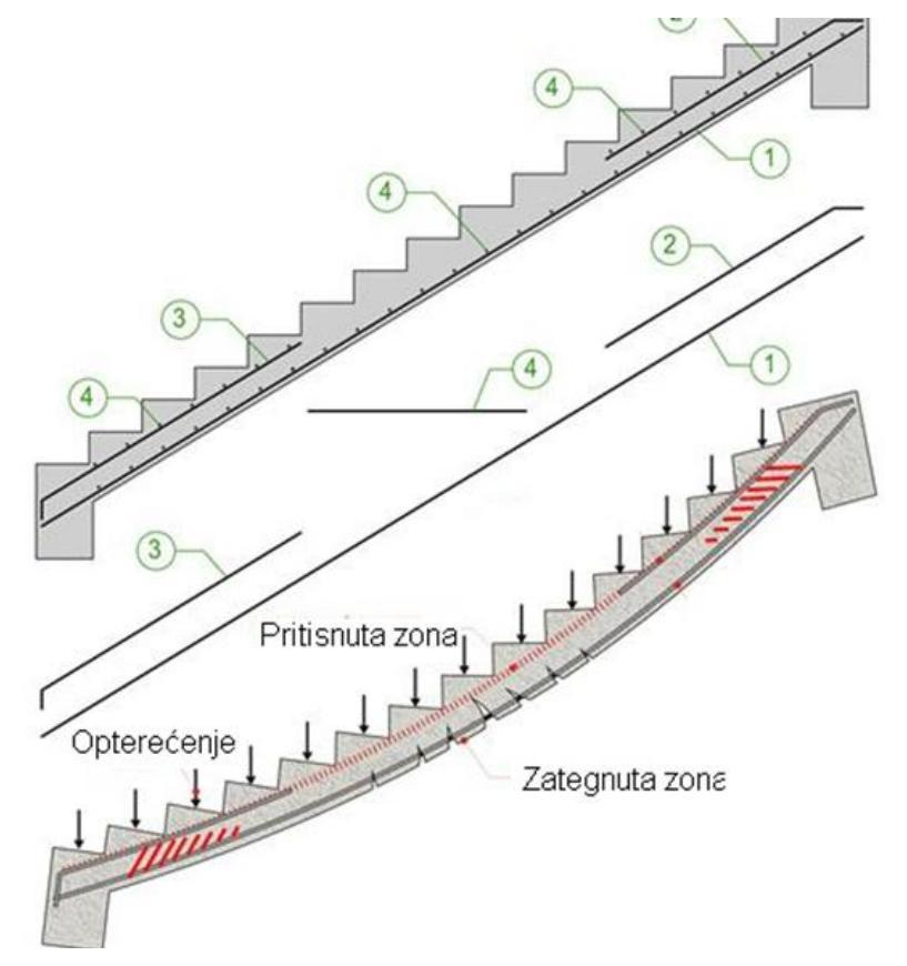 Proračun LMT tavanica Monolitne AB tavanice: