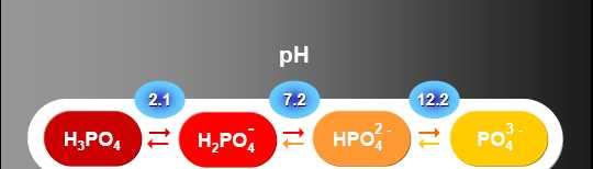 Σχηματισμός ιζήματος Ca2+/P