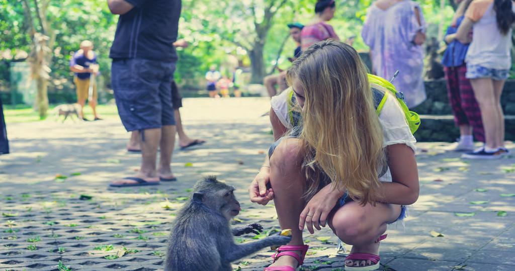 Bali Zoo ΖΩΟΛΟΓΙΚΟΣ ΚΗΠΟΣ ΤΟΥ ΜΠΑΛΙ Έναρξη: 10:30, 12:30, 17:30 Διάρκεια: 5 ώρες Ξεκινήστε μία συναρπαστική περιπέτεια με ένα ταξίδι στο ζωολογικό κήπο του Μπαλί.