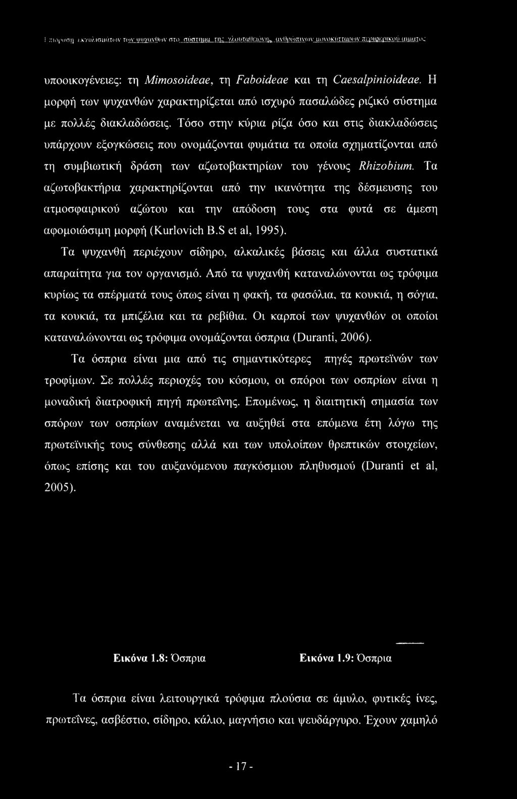 Τόσο στην κύρια ρίζα όσο και στις διακλαδώσεις υπάρχουν εξογκώσεις που ονομάζονται φυμάτια τα οποία σχηματίζονται από τη συμβιωτική δράση των αζωτοβακτηρίων του γένους Rhizobium.