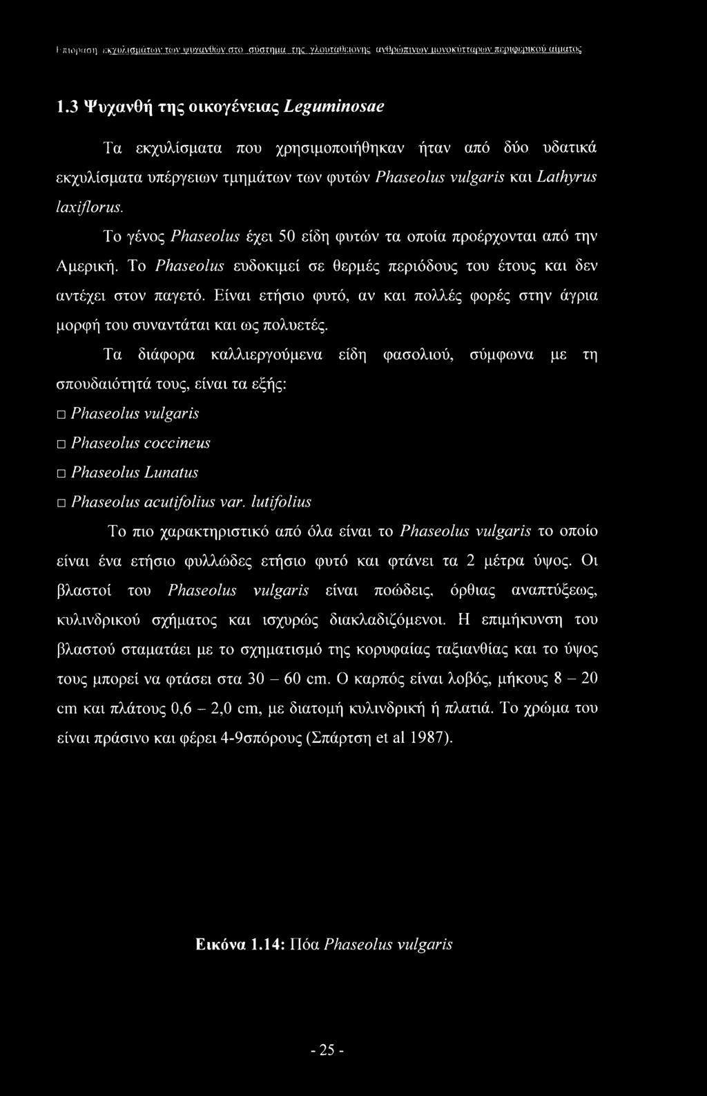 Το γένος Phaseolus έχει 50 είδη φυτών τα οποία προέρχονται από την Αμερική. To Phaseolus ευδοκιμεί σε θερμές περιόδους του έτους και δεν αντέχει στον παγετό.