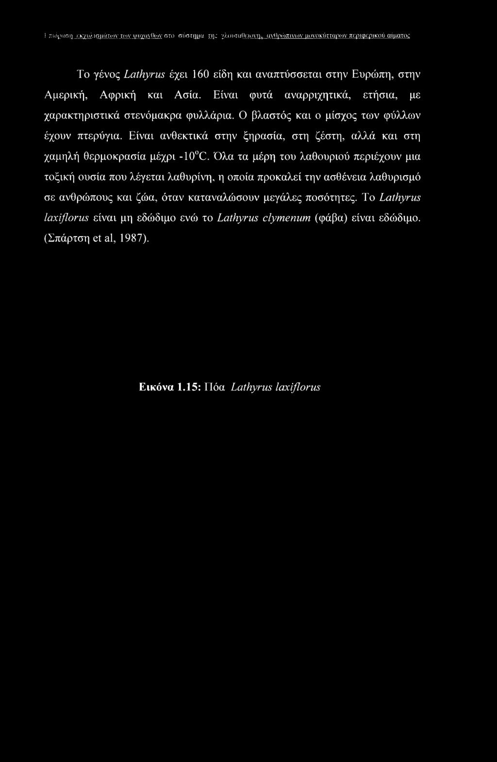 F-πίόραση εκχυλισμάτων των ψυχανθών στο σύστημα me γλουταθειόνης ανθρώπινοί μονοκύτταρων περιφερικού αίματ(κ Το γένος Lathyrus έχει 160 είδη και αναπτύσσεται στην Ευρώπη, στην Αμερική, Αφρική και